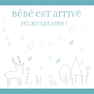 B&eacute;b&eacute; est arriv&eacute;, nature et f&eacute;licitations !